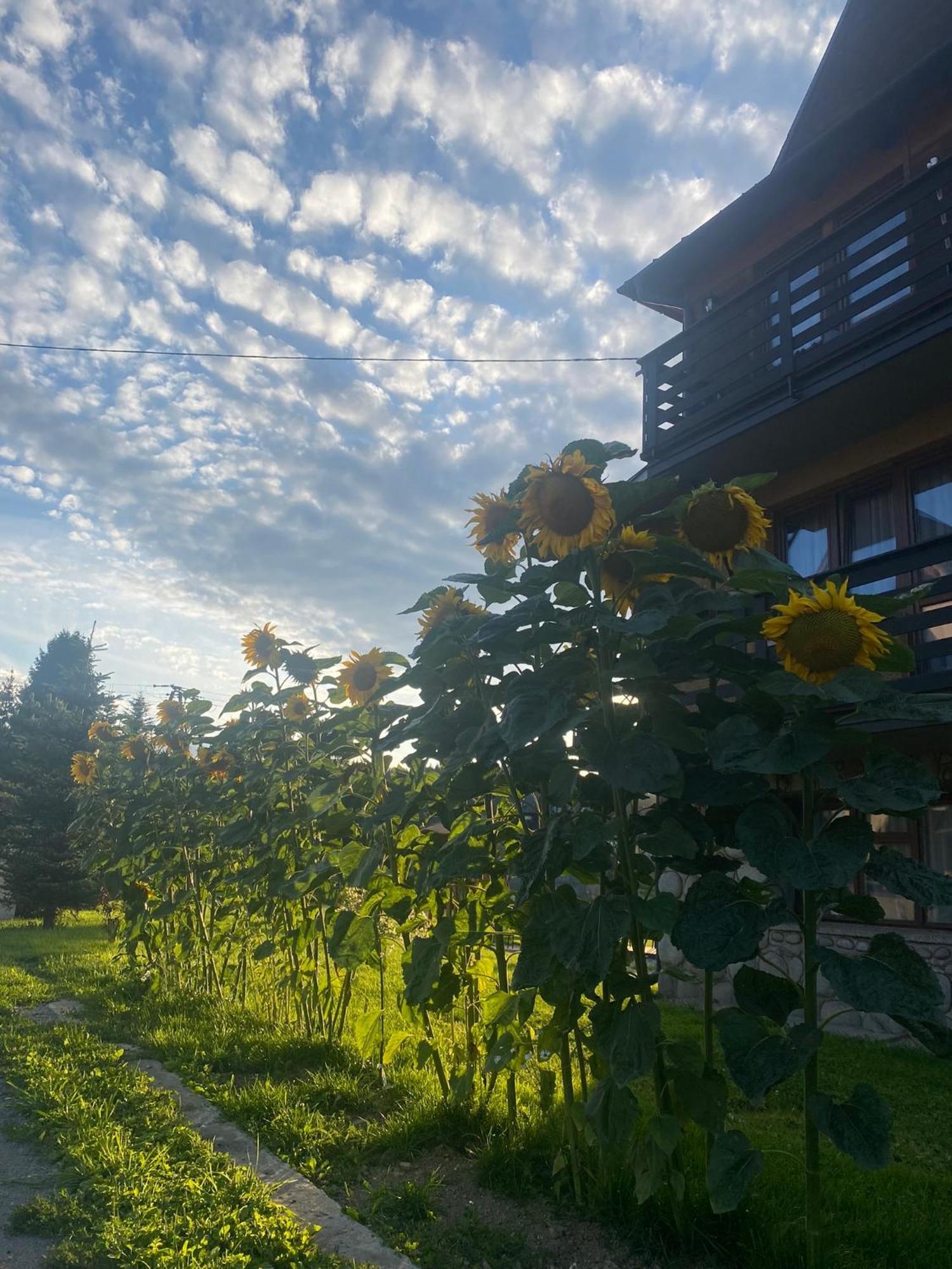 Pokoje Goscinne Maja Białka Tatrzańska Exterior foto